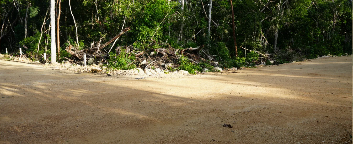 Lotes residenciales en la Región 11 de Tulum - 6