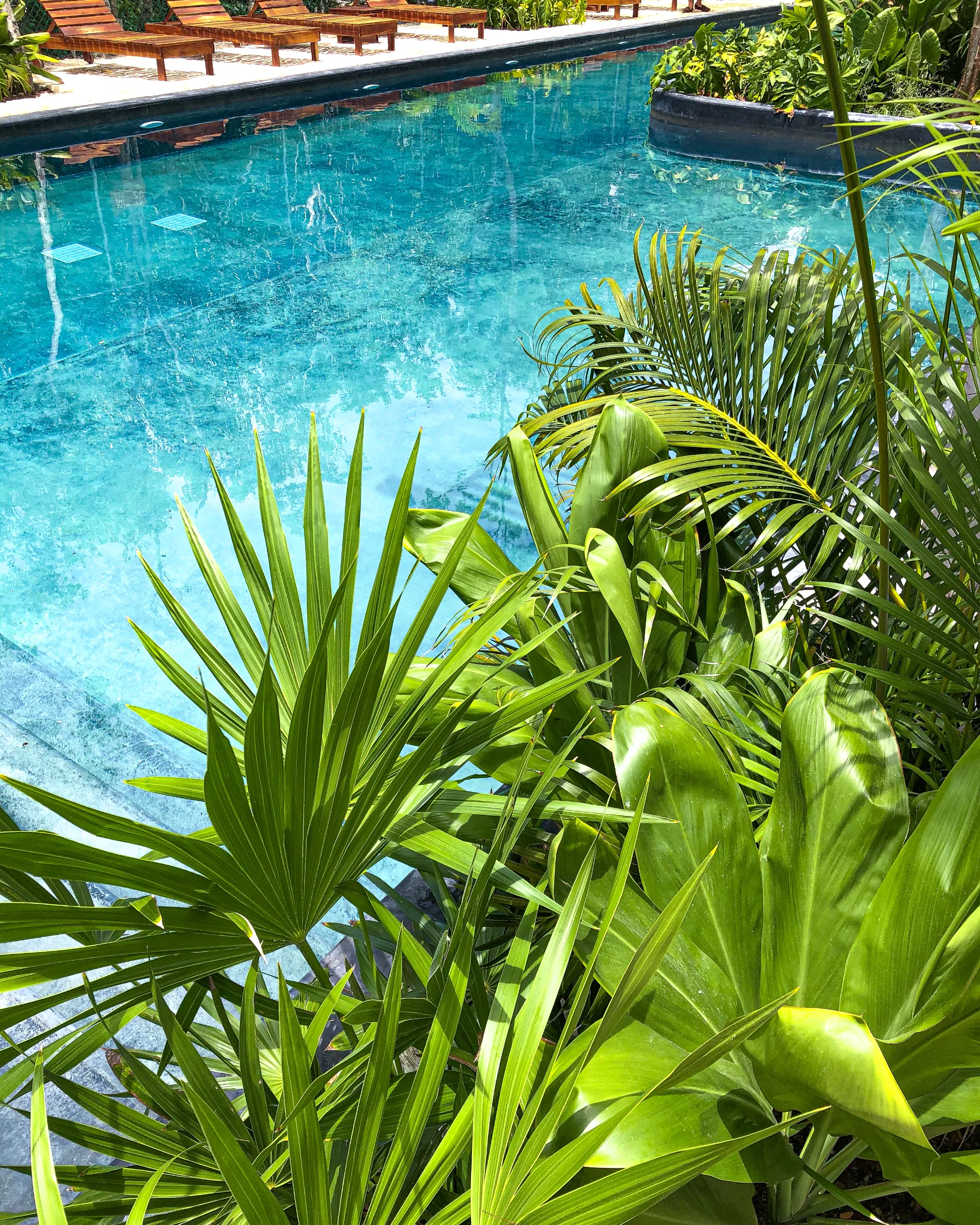 Casas, dúplex, departamentos y estudios entre la selva maya en el corazón de Tulum - 13