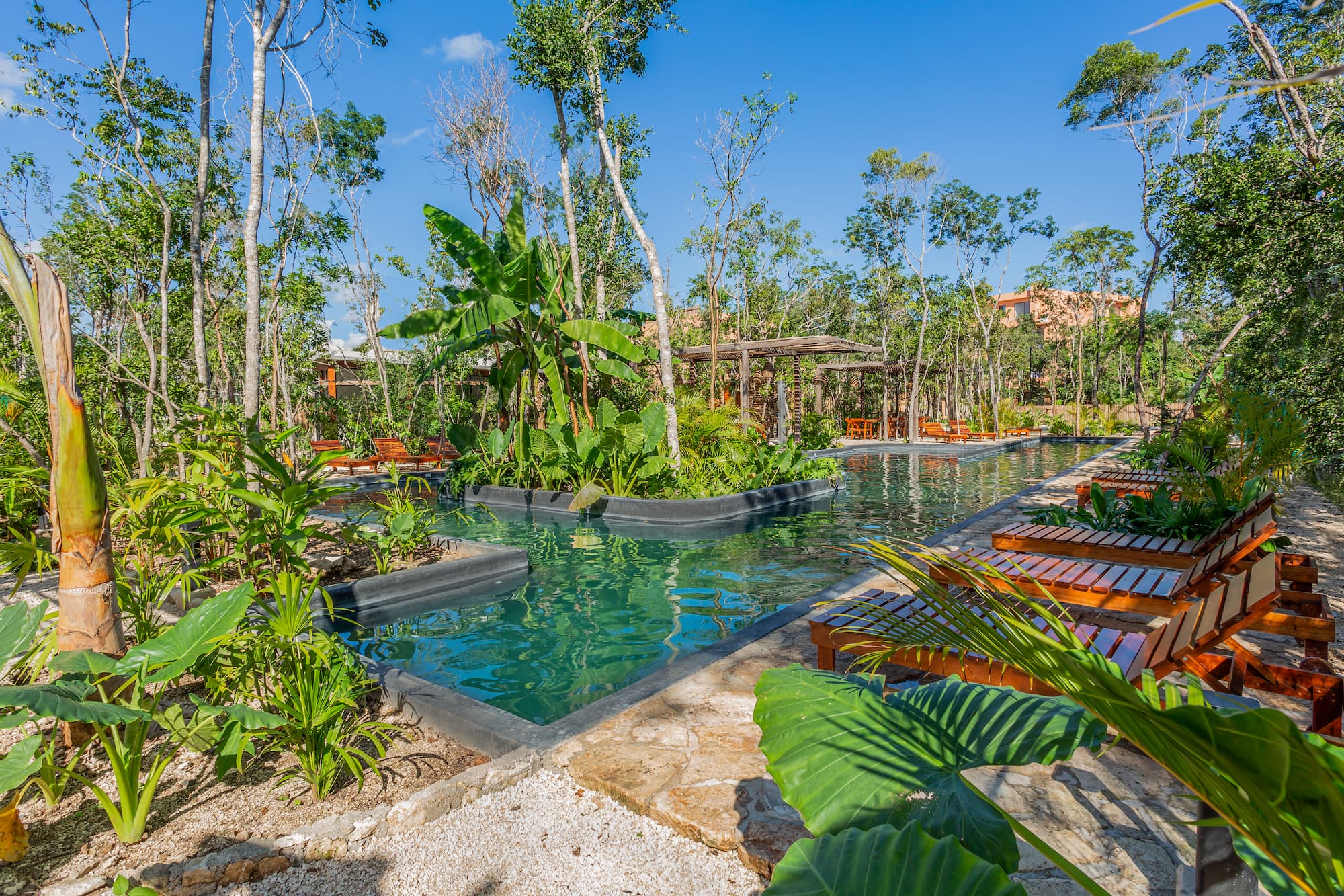 Casas, dúplex, departamentos y estudios entre la selva maya en el corazón de Tulum - 4